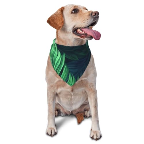 Halstuch, Motiv: tropische Palmenblätter, Haustier-Schal, Zubehör für kleine, mittelgroße Hunde, Katzen, Foto-Requisite, dreieckig, verstellbar, Welpen-Lätzchen, waschbar, Hundehalstuch Halstuch, Motiv: tropische Palmenblätter, Haustier-Schal, Zubehör für kleine, mittelgroße Hunde, Katzen, Foto-Requisite, dreieckig, verstellbar, Welpen-Lätzchen, waschbar, Hundehalstuch von LHBWCVN