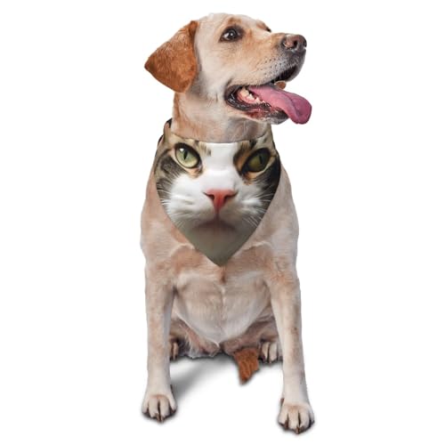 Halstuch für Katzen und Hunde, Zubehör für kleine, mittelgroße Hunde und Katzen, Foto-Requisite, dreieckiges Haustierhalstuch, verstellbares Welpen-Lätzchen, waschbar, Hundehalstuch, Welpen-Halstuch Halstuch für Katzen und Hunde, Zubehör für kleine, mittelgroße Hunde und Katzen, Foto-Requisite, dreieckiges Haustierhalstuch, verstellbares Welpen-Lätzchen, waschbar, Hundehalstuch, Welpen-Halstuch von LHBWCVN
