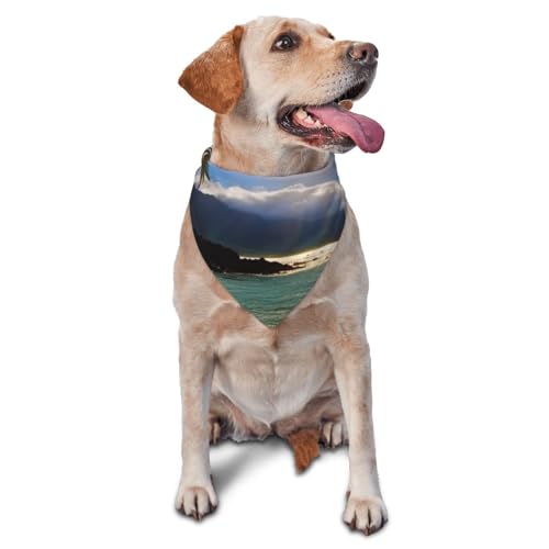 Hawaii Beach Hundehalstuch, Haustier-Schal, Zubehör für kleine, mittelgroße Hunde und Katzen, Foto-Requisite, dreieckig, verstellbar, Welpen-Lätzchen, waschbar, Hundehalstuch, Welpen-Halstuch Hawaii Beach Hundehalstuch, Haustier-Schal, Zubehör für kleine, mittelgroße Hunde und Katzen, Foto-Requisite, dreieckig, verstellbar, Welpen-Lätzchen, waschbar, Hundehalstuch, Welpen-Halstuch von LHBWCVN