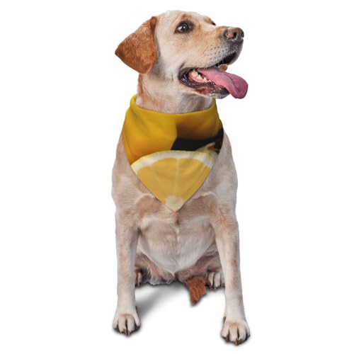 Hundehalstuch, Halstuch, Zubehör für kleine, mittelgroße Hunde, Katzen, Foto-Requisite, Dreieck, Haustier-Bandana, verstellbares Welpen-Lätzchen, waschbar, Hundehalstuch, Welpen-Halstuch Hundehalstuch, Halstuch, Zubehör für kleine, mittelgroße Hunde, Katzen, Foto-Requisite, Dreieck, Haustier-Bandana, verstellbares Welpen-Lätzchen, waschbar, Hundehalstuch, Welpen-Halstuch von LHBWCVN