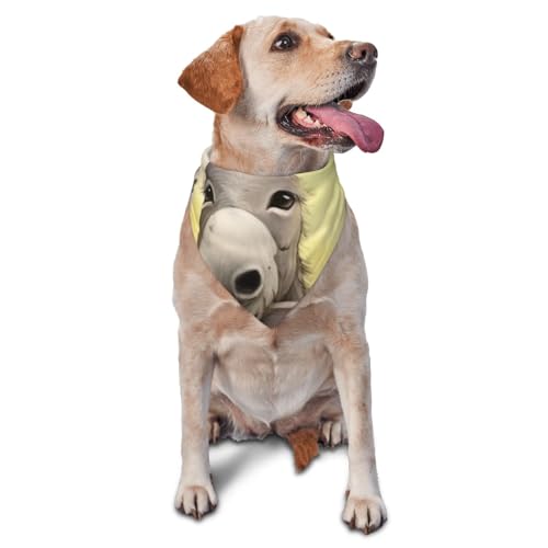 Hundehalstuch, Motiv: Esel und Blume, Zubehör für kleine, mittelgroße Hunde, Katzen, Foto-Requisite, dreieckig, verstellbar, waschbar, Hundehalstuch, Welpen-Halstuch von LHBWCVN