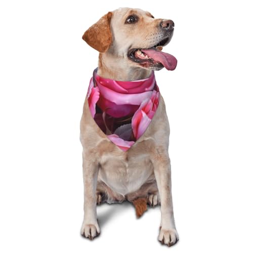 Hundehalstuch, Motiv: Rose und Schmetterlinge, Zubehör für kleine, mittelgroße Hunde und Katzen, Foto-Requisite, dreieckig, verstellbares Welpen-Lätzchen, waschbar, Hundehalstuch, Welpen-Halstuch Hundehalstuch, Motiv: Rose und Schmetterlinge, Zubehör für kleine, mittelgroße Hunde und Katzen, Foto-Requisite, dreieckig, verstellbares Welpen-Lätzchen, waschbar, Hundehalstuch, Welpen-Halstuch von LHBWCVN