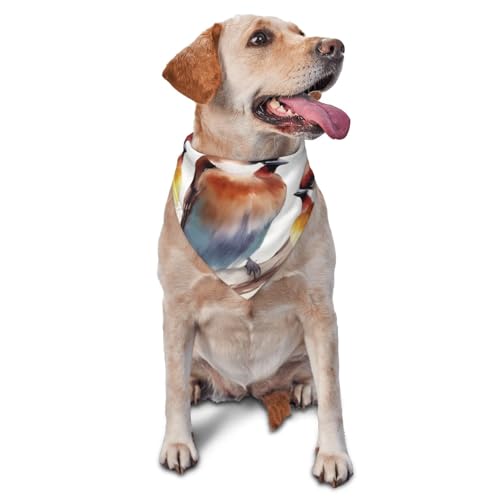 Hundehalstuch, Motiv: Vögel ruhen auf einem Ast, Haustier-Schal, Zubehör für kleine, mittelgroße Hunde und Katzen, Foto-Requisite, dreieckiges Haustierhalstuch, verstellbares Welpen-Lätzchen, waschbar von LHBWCVN