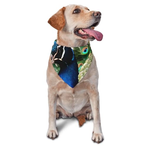 Hundehalstuch, Pfauenmotiv, Haustier-Schal, Zubehör für kleine, mittelgroße Hunde, Katzen, Foto-Requisite, dreieckig, verstellbar, waschbar, Hundehalstuch, Welpen-Halstuch von LHBWCVN