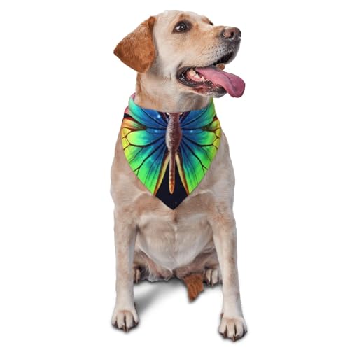 Hundehalstuch, Regenbogen-Schmetterling, Haustier-Schal, Zubehör für kleine, mittelgroße Hunde, Katzen, Foto-Requisite, dreieckig, verstellbar, Welpen-Lätzchen, waschbar, Hundehalstuch Hundehalstuch, Regenbogen-Schmetterling, Haustier-Schal, Zubehör für kleine, mittelgroße Hunde, Katzen, Foto-Requisite, dreieckig, verstellbar, Welpen-Lätzchen, waschbar, Hundehalstuch von LHBWCVN