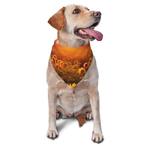 Hundehalstuch, Sonnenblumenfeld, Sonnenuntergang, Blumenmeer, Haustier-Schal, Zubehör für kleine, mittelgroße Hunde und Katzen, Foto-Requisite, dreieckig, verstellbar, waschbar, Hundehalstuch Hundehalstuch, Sonnenblumenfeld, Sonnenuntergang, Blumenmeer, Haustier-Schal, Zubehör für kleine, mittelgroße Hunde und Katzen, Foto-Requisite, dreieckig, verstellbar, waschbar, Hundehalstuch von LHBWCVN