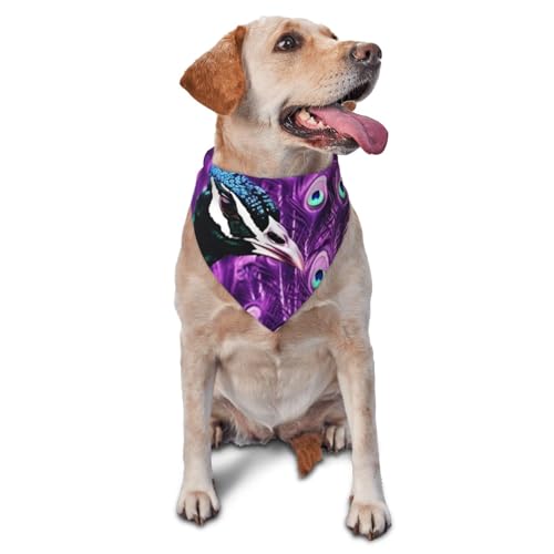 Hundehalstuch, violett, Pfau, Haustier-Schal, Zubehör für kleine, mittelgroße Hunde und Katzen, Foto-Requisite, dreieckig, verstellbar, waschbar, Hundehalstuch, Welpen-Halstuch Hundehalstuch, violett, Pfau, Haustier-Schal, Zubehör für kleine, mittelgroße Hunde und Katzen, Foto-Requisite, dreieckig, verstellbar, waschbar, Hundehalstuch, Welpen-Halstuch von LHBWCVN