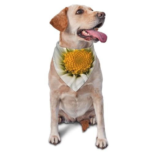 Hundehalstuch, weißes Gänseblümchen, Haustier-Schal, Zubehör für kleine, mittelgroße Hunde und Katzen, Foto-Requisite, dreieckig, verstellbar, waschbar, Hundehalstuch, Welpen-Halstuch von LHBWCVN