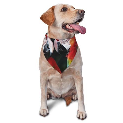 Hundehalstuch, zweifarbig, Papageien-Motiv, Zubehör für kleine, mittelgroße Hunde und Katzen, Foto-Requisite, dreieckig, verstellbar, waschbar, Hundehalstuch, Welpen-Halstuch von LHBWCVN