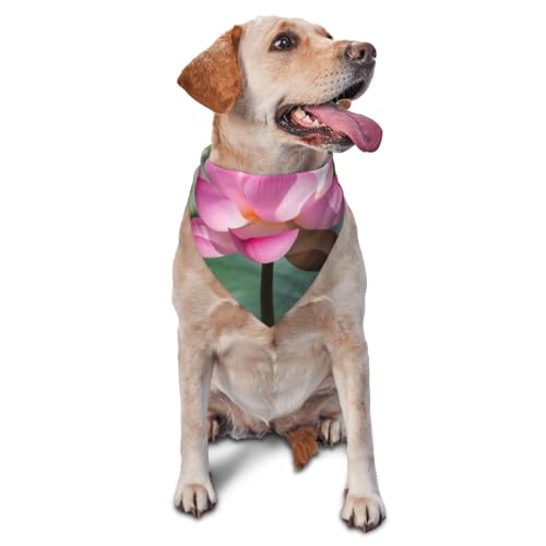 Hundehalstuch mit Blumenmotiv, Zubehör für kleine, mittelgroße Hunde und Katzen, Foto-Requisite, dreieckig, verstellbares Welpen-Lätzchen, waschbar, Hundehalstuch, Welpen-Halstuch Hundehalstuch mit Blumenmotiv, Zubehör für kleine, mittelgroße Hunde und Katzen, Foto-Requisite, dreieckig, verstellbares Welpen-Lätzchen, waschbar, Hundehalstuch, Welpen-Halstuch von LHBWCVN