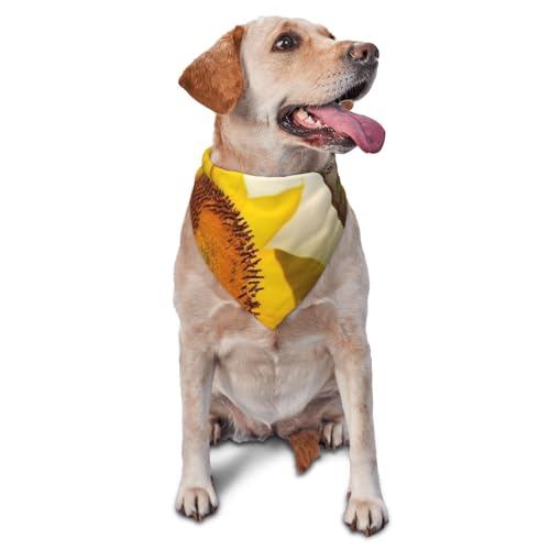 Hundehalstuch mit Kolibri-Sonnenblumen-Motiv, Zubehör für kleine, mittelgroße Hunde und Katzen, Foto-Requisite, dreieckig, verstellbares Welpen-Lätzchen, waschbar, Hundehalstuch, Welpen-Halstuch Hundehalstuch mit Kolibri-Sonnenblumen-Motiv, Zubehör für kleine, mittelgroße Hunde und Katzen, Foto-Requisite, dreieckig, verstellbares Welpen-Lätzchen, waschbar, Hundehalstuch, Welpen-Halstuch von LHBWCVN