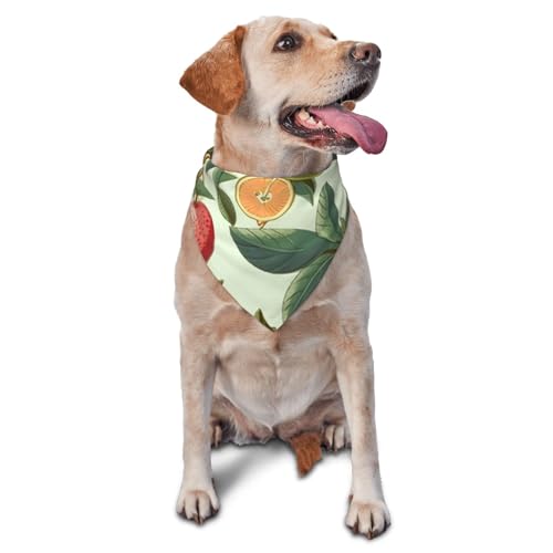 Hundehalstuch mit Pflanzen und Früchten, Zubehör für kleine, mittelgroße Hunde und Katzen, Foto-Requisite, dreieckiges Haustierhalstuch, verstellbares Welpen-Lätzchen, waschbar, Hundehalstuch Hundehalstuch mit Pflanzen und Früchten, Zubehör für kleine, mittelgroße Hunde und Katzen, Foto-Requisite, dreieckiges Haustierhalstuch, verstellbares Welpen-Lätzchen, waschbar, Hundehalstuch von LHBWCVN