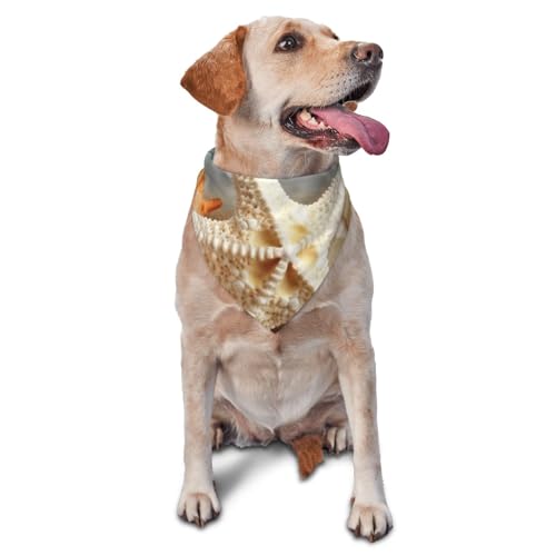Hundehalstuch mit Seestern-Korallen und Muscheln, Zubehör für kleine, mittelgroße Hunde und Katzen, Foto-Requisite, dreieckig, verstellbares Welpen-Lätzchen, waschbar, Hundehalstuch, Welpen-Halstuch Hundehalstuch mit Seestern-Korallen und Muscheln, Zubehör für kleine, mittelgroße Hunde und Katzen, Foto-Requisite, dreieckig, verstellbares Welpen-Lätzchen, waschbar, Hundehalstuch, Welpen-Halstuch von LHBWCVN