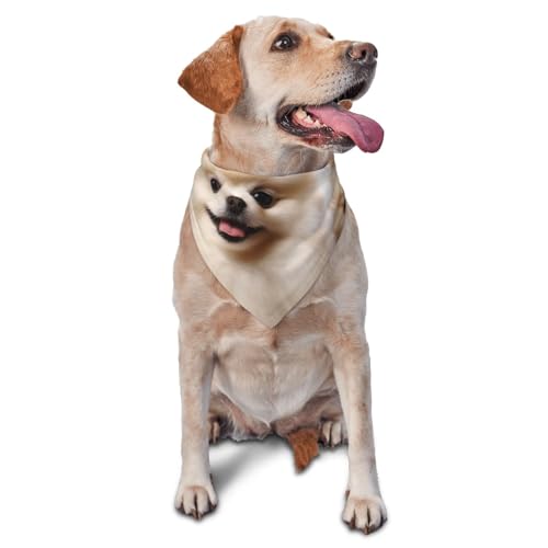 Kurzhaariger Zwergspitz-Hundehalstuch, Haustier-Schal, Zubehör für kleine, mittelgroße Hunde und Katzen, Foto-Requisite, dreieckiges Haustierhalstuch, verstellbares Welpen-Lätzchen, waschbar Kurzhaariger Zwergspitz-Hundehalstuch, Haustier-Schal, Zubehör für kleine, mittelgroße Hunde und Katzen, Foto-Requisite, dreieckiges Haustierhalstuch, verstellbares Welpen-Lätzchen, waschbar von LHBWCVN