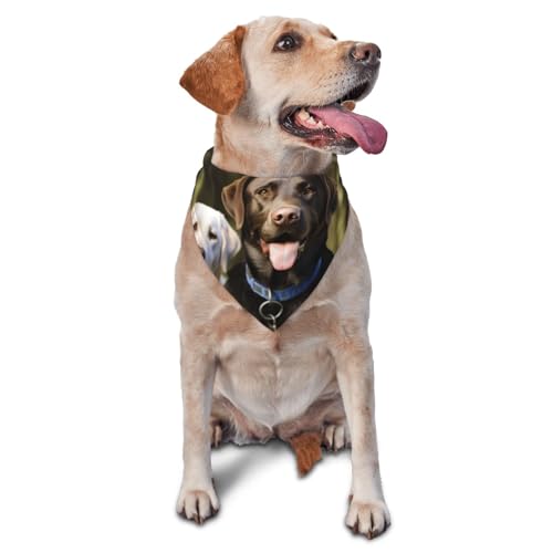 Labrador Hundehalstuch, Zubehör für kleine, mittelgroße Hunde und Katzen, Foto-Requisite, dreieckiges Haustierhalstuch, verstellbares Welpen-Lätzchen, waschbar, Hundehalstuch, Welpen-Halstuch Labrador Hundehalstuch, Zubehör für kleine, mittelgroße Hunde und Katzen, Foto-Requisite, dreieckiges Haustierhalstuch, verstellbares Welpen-Lätzchen, waschbar, Hundehalstuch, Welpen-Halstuch von LHBWCVN