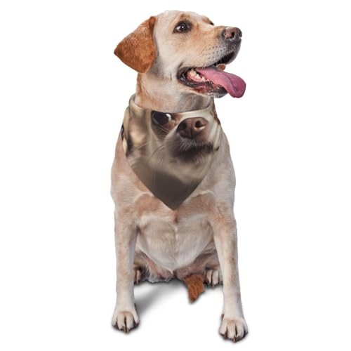 Niedliches Chihuahua-Hunde-Halstuch, Zubehör für kleine, mittelgroße Hunde und Katzen, Foto-Requisite, dreieckiges Haustierhalstuch, verstellbares Welpen-Lätzchen, waschbar, Hundehalstuch Niedliches Chihuahua-Hunde-Halstuch, Zubehör für kleine, mittelgroße Hunde und Katzen, Foto-Requisite, dreieckiges Haustierhalstuch, verstellbares Welpen-Lätzchen, waschbar, Hundehalstuch von LHBWCVN