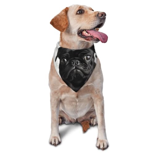Niedliches schwarzes Mops-Hunde-Halstuch, Zubehör für kleine, mittelgroße Hunde und Katzen, Foto-Requisite, dreieckig, verstellbares Welpen-Lätzchen, waschbar, Hundehalstuch, Welpen-Halstuch Niedliches schwarzes Mops-Hunde-Halstuch, Zubehör für kleine, mittelgroße Hunde und Katzen, Foto-Requisite, dreieckig, verstellbares Welpen-Lätzchen, waschbar, Hundehalstuch, Welpen-Halstuch von LHBWCVN
