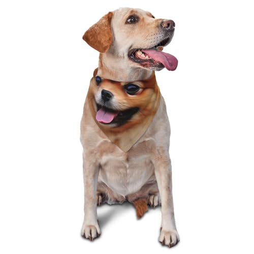 Pomeranian Hunde-Halstuch, Haustier-Schal, Zubehör für kleine, mittelgroße Hunde, Katzen, Foto-Requisite, dreieckig, verstellbar, Welpen-Lätzchen, waschbar, Hundehalstuch, Welpen-Halstuch von LHBWCVN