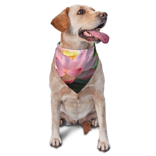 Schönes Blumen-Hunde-Halstuch, Zubehör für kleine, mittelgroße Hunde und Katzen, Foto-Requisite, dreieckiges Haustierhalstuch, verstellbares Welpen-Lätzchen, waschbar, Hundehalstuch, Welpen-Halstuch Schönes Blumen-Hunde-Halstuch, Zubehör für kleine, mittelgroße Hunde und Katzen, Foto-Requisite, dreieckiges Haustierhalstuch, verstellbares Welpen-Lätzchen, waschbar, Hundehalstuch, Welpen-Halstuch von LHBWCVN