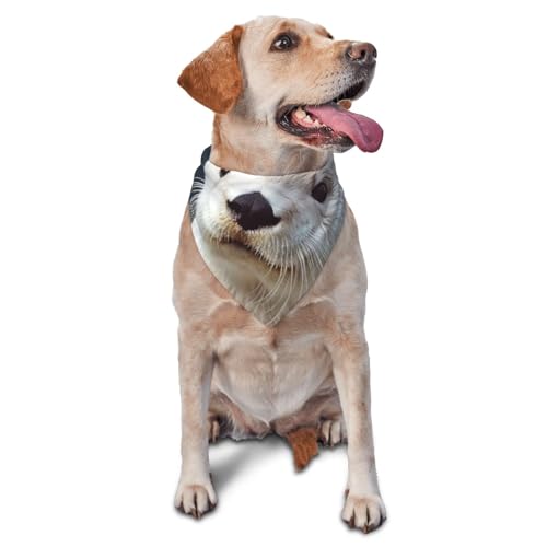 Weißer Otter Hundehalstuch, Haustier-Schal, Zubehör für kleine, mittelgroße Hunde und Katzen, Foto-Requisite, dreieckiges Haustierhalstuch, verstellbares Welpen-Lätzchen, waschbar, Hundehalstuch Weißer Otter Hundehalstuch, Haustier-Schal, Zubehör für kleine, mittelgroße Hunde und Katzen, Foto-Requisite, dreieckiges Haustierhalstuch, verstellbares Welpen-Lätzchen, waschbar, Hundehalstuch von LHBWCVN