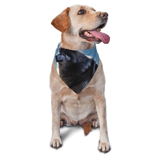 Wolfs Hund Bandana Haustier Schal Zubehör für kleine mittelgroße Hunde Katzen Foto Requisite, Dreieckige Haustier Bandanas verstellbares Welpenlätzchen waschbar Hund Halstuch Welpen Halstuch von LHBWCVN