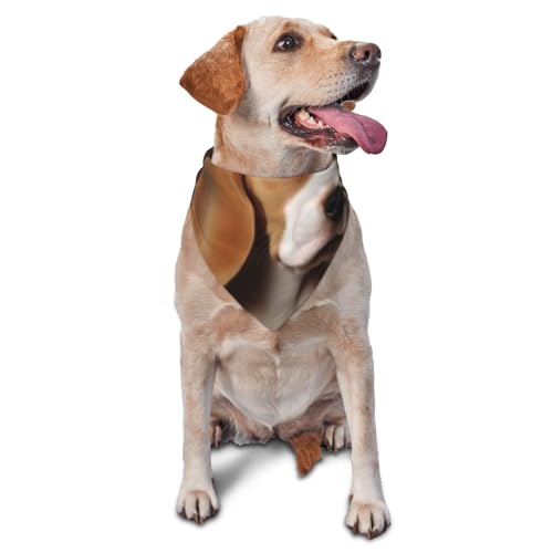ovely Hundehalstuch mit Beagle-Motiv, Zubehör für kleine, mittelgroße Hunde und Katzen, Foto-Requisite, Dreieck, verstellbares Welpen-Lätzchen, waschbar, Hundehalstuch, Welpen-Halstuch von LHBWCVN