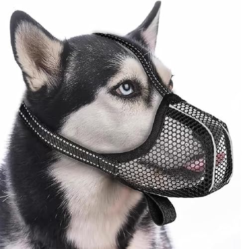LHOEST Maulkorb Mittlere Kleine Hunde, Reflektierend Mesh Maulkorb für Große Hunde Schäferhund Labrador, Maulkorb Giftköderschutz Hund, Maulkörbe für Hunde mit Verstellbarer Riemen LHOEST Maulkorb Mittlere Kleine Hunde, Reflektierend Mesh Maulkorb für Große Hunde Schäferhund Labrador, Maulkorb Giftköderschutz Hund, Maulkörbe für Hunde mit Verstellbarer Riemen von LHOEST