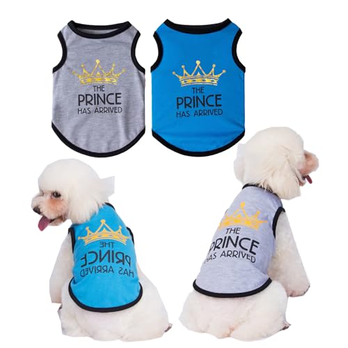 LHYZ PARK Hunde-Shirts, bedruckte Kleidung mit lustigen Buchstaben, Frühling, cooles Welpen-Shirt, atmungsaktives Hunde-Outfit, weiches Hunde-Sweatshirt für Haustiere, Hunde, Katzen (Blau + Grau, LHYZ PARK Hunde-Shirts, bedruckte Kleidung mit lustigen Buchstaben, Frühling, cooles Welpen-Shirt, atmungsaktives Hunde-Outfit, weiches Hunde-Sweatshirt für Haustiere, Hunde, Katzen (Blau + Grau, von LHYZ PARK