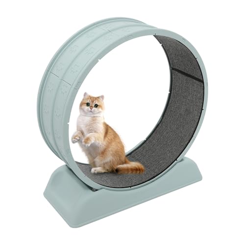 Laufrad für Katzen | Katzenlaufrad mit Cat Teasing Stick und Sicherheitsschnalle | Harz, PP | Rollendesign | 79 * 34 * 84cm | Katzen-Laufrad (Blau) von LIAIZE