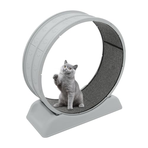 Laufrad für Katzen | Katzenlaufrad mit Cat Teasing Stick und Sicherheitsschnalle | Harz, PP | Rollendesign | 79 * 34 * 84cm | Katzen-Laufrad (Grau) von LIAIZE