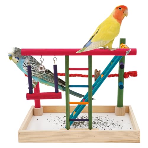 Papagei Vogelspielplatz, 35 * 25 * 27,8cm Holz-Vogel Spielständer, Parrot Swing Stand Playstand, Bird Playground Wood Papageienständer, für 1-5 Kleine Papageien Papagei Vogelspielplatz, 35 * 25 * 27,8cm Holz-Vogel Spielständer, Parrot Swing Stand Playstand, Bird Playground Wood Papageienständer, für 1-5 Kleine Papageien von LIAIZE