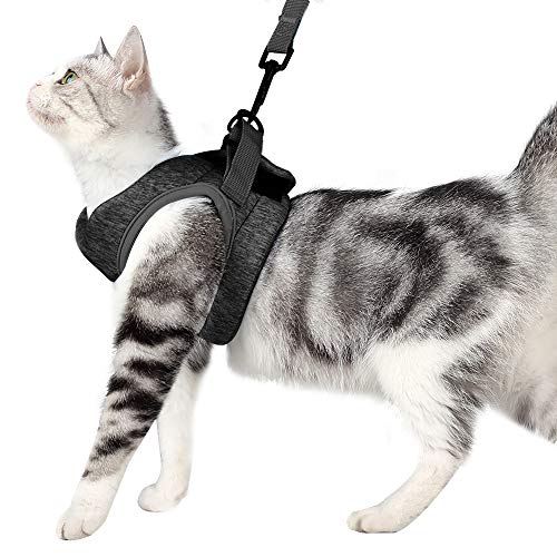 Katzengeschirr und Leine Ultraleicht für Fluchtschutz Verstellbarer weicher Netzschritt in gepolsterter Polsterung Laufweste Jacke für Kätzchen Haustiere Welpe Grau Katzengeschirr und Leine Ultraleicht für Fluchtschutz Verstellbarer weicher Netzschritt in gepolsterter Polsterung Laufweste Jacke für Kätzchen Haustiere Welpe Grau von LIANZIMAU