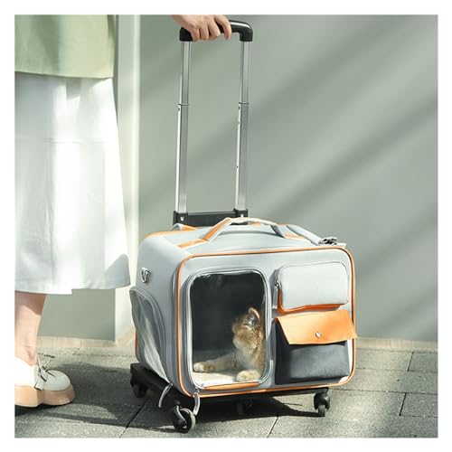 Transportbox für Haustiere auf Rädern Haustier-Trolley mit Rollen, tragbare Haustiertasche for unterwegs, Haustiergepäck, rollende Katzentrage-Reisetasche mit Teleskopgriff for Spaziergänge beim Tiera von LIBANGRONG-888