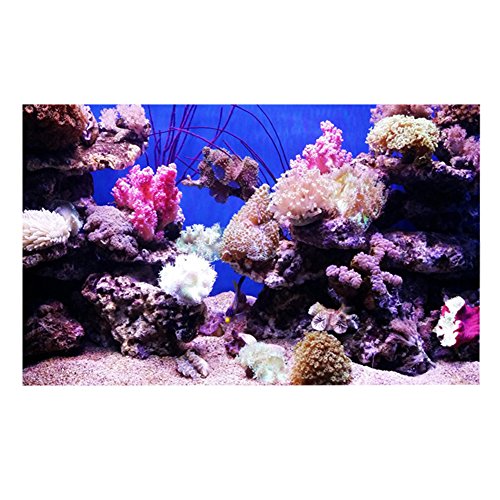 LIBOOI Aufkleber für Aquarium, selbstklebend, PVC-Hintergrund, Aquarium-Rückseite, Poster, Aufkleber für Aquarium, Dekoration von LIBOOI