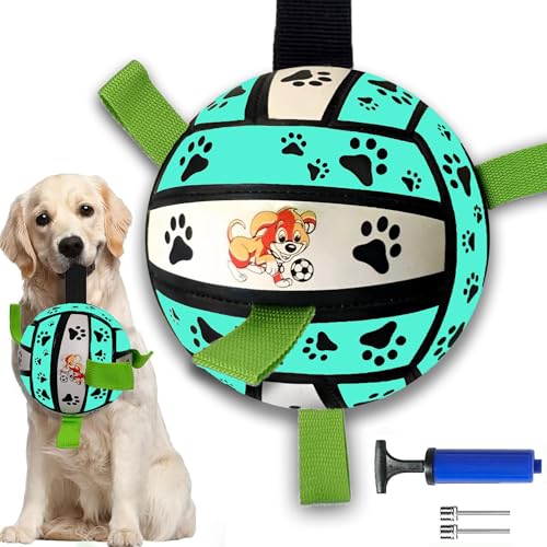 LIBRNTY Hundespielzeug Ball,Wird glänzen Hund Fußball,Ball, Dog Toys mit Greiflaschen,Dauerhaft Hundespielzeug Dog mit Griff,mit Ballpumpe und Nadel,Geeignet Zum Trainieren LIBRNTY Hundespielzeug Ball,Wird glänzen Hund Fußball,Ball, Dog Toys mit Greiflaschen,Dauerhaft Hundespielzeug Dog mit Griff,mit Ballpumpe und Nadel,Geeignet Zum Trainieren von LIBRNTY