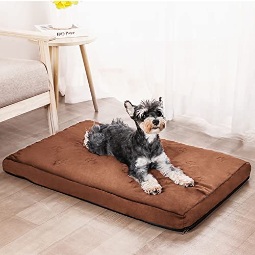 LICHOO Katzenbett, Hundebett, Plüsch-Haustierbett für Katzen und Hunde, Haustiermatte, weiches und bequemes waschbares Bett für Katzen und Hunde, geeignet für Haustiere (104×74×10cm,Hellgrau) von LICHOO