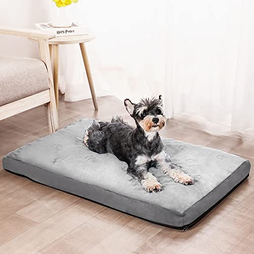 LICHOO Katzenbett, Hundebett, Plüsch-Haustierbett für Katzen und Hunde, Haustiermatte, weiches und bequemes waschbares Bett für Katzen und Hunde, geeignet für Haustiere (60×40×7cm,Hellgrau) von LICHOO