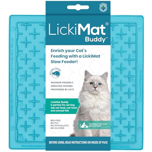 LICKIMAT Buddy Cat Türkis von LICKIMAT