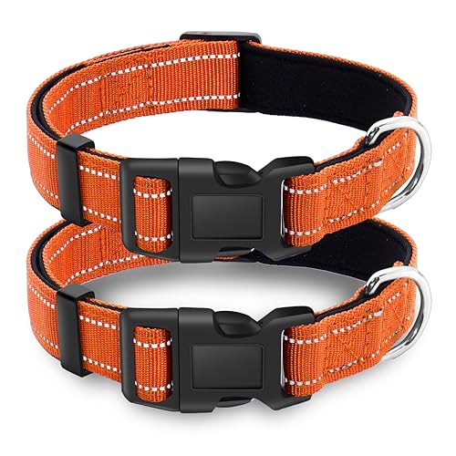 LIEVUIKEN 2 Stück Reflektierendes Hundehalsband mit Sicherheitsverriegelungsschnalle, verstellbar, weich, atmungsaktiv, bequem, Nylon, Haustierhalsband für kleine, mittelgroße und große Hunde, 5 von LIEVUIKEN