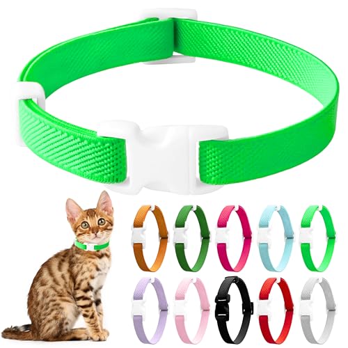LIEVUIKEN Elastisches Katzenhalsband, Stretch-Katzenhalsband, Schnellverschluss, leuchtende Farben, Sicherheits-Kätzchenhalsband, verstellbares Halsband für Kätzchen, leicht, weiches Polyester, für LIEVUIKEN Elastisches Katzenhalsband, Stretch-Katzenhalsband, Schnellverschluss, leuchtende Farben, Sicherheits-Kätzchenhalsband, verstellbares Halsband für Kätzchen, leicht, weiches Polyester, für von LIEVUIKEN