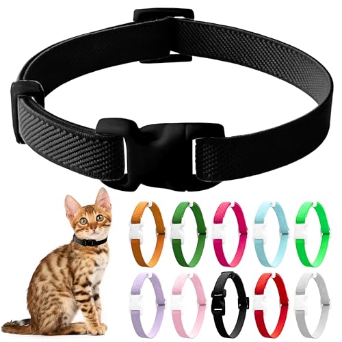 LIEVUIKEN Elastisches Katzenhalsband, Stretch-Katzenhalsband, Schnellverschluss, leuchtende Farben, Sicherheits-Kätzchenhalsband, verstellbares Halsband für Kätzchen, leicht, weiches Polyester, für LIEVUIKEN Elastisches Katzenhalsband, Stretch-Katzenhalsband, Schnellverschluss, leuchtende Farben, Sicherheits-Kätzchenhalsband, verstellbares Halsband für Kätzchen, leicht, weiches Polyester, für von LIEVUIKEN