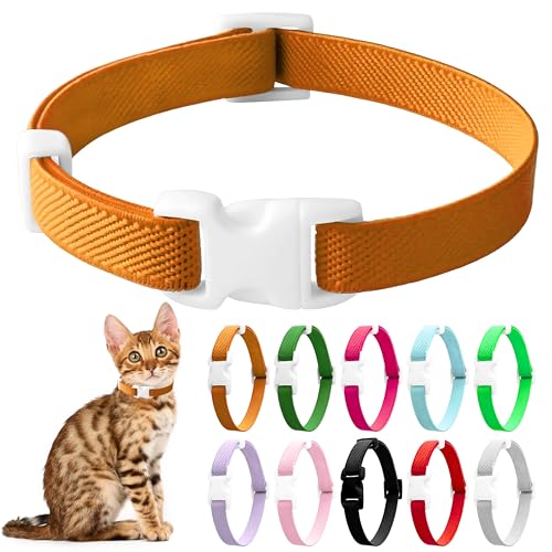 LIEVUIKEN Elastisches Katzenhalsband, Stretch-Katzenhalsband, Schnellverschluss, leuchtende Farben, Sicherheits-Kätzchenhalsband, verstellbares Halsband für Kätzchen, leicht, weiches Polyester, für von LIEVUIKEN