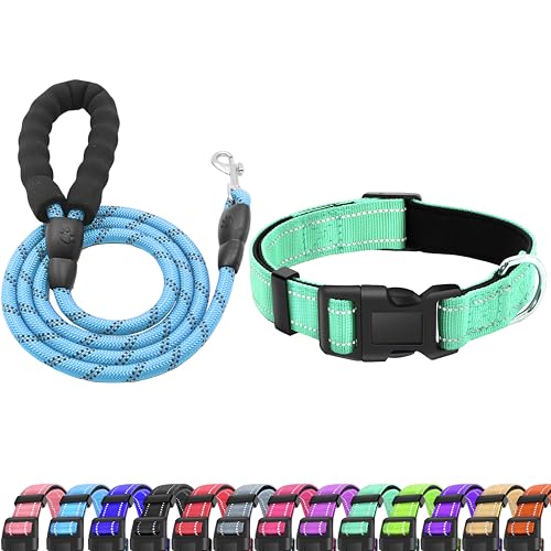 LIEVUIKEN Reflektierendes Hundehalsband mit Sicherheitsverschluss, verstellbar, weich, atmungsaktiv, bequem, Nylon, Haustierhalsband für kleine,40.6 cm, Türkis) von LIEVUIKEN