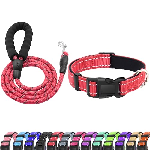 LIEVUIKEN Reflektierendes Hundehalsband mit Sicherheitsverschluss, verstellbar, weich, atmungsaktiv, bequem, Nylon, Haustierhalsband für kleine,61 cm, Rot) von LIEVUIKEN