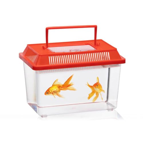 Lifetime Insektenbox Lifetime Insektenbox von LIFETIME