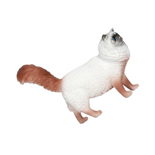 LIFKICH Kunststoff Katzenfigur Dekorationsmodell Realistische Tierfigur Pädagogisches für Vielseitig Einsetzbar als Dekoration und Lernhilfe von LIFKICH
