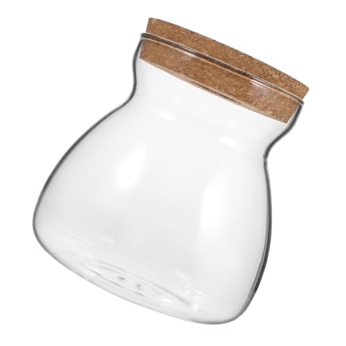 LIFKICH Micro Landscape Glas Terrarium mit Lochdeckel Transparentes Ökosystem Glas Gefäß für Sukkulenten Moderne Vase für Innenräume Robust und Praktisch Dekorativer Pflanzenbehälter von LIFKICH