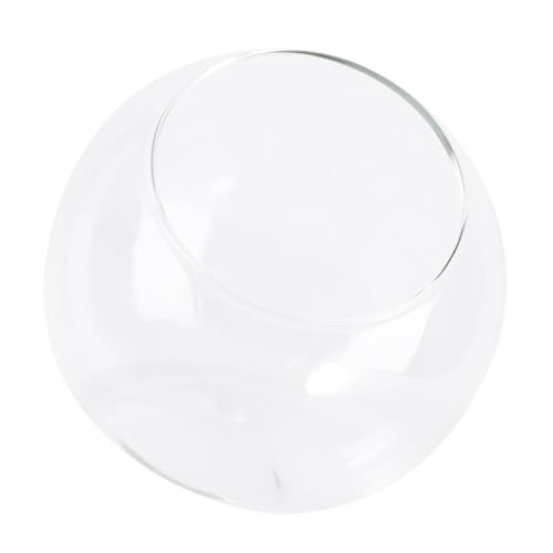 LIFKICH Mini Glasflasche für DIY Mikro landschaften Terrarium Behälter aus Robustem Glas Dekoratives Flaschenglas für Kleine Pflanzen Terrarien und Naturdeko im Modernen Stil von LIFKICH