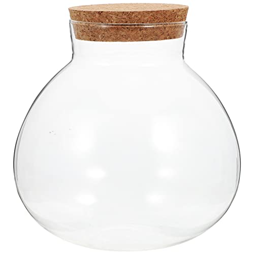 LIFKOME 1 Oder 2 Stück Glas-Pflanzenterrarium Transparente Tisch-Terrariumbehälter Aus Glas Mit Deckel Glas-Sukkulentenglas Luftpflanzen-Pflanzgefäß von LIFKOME