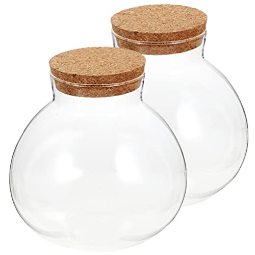LIFKOME Glasflasche 1 Oder 2 Stück Glas-Pflanzenterrarium Transparente Tisch-Terrariumbehälter Aus Glas Mit Deckel Glas-Sukkulentenglas Luftpflanzen-Pflanzgefäß Runder Vase von LIFKOME
